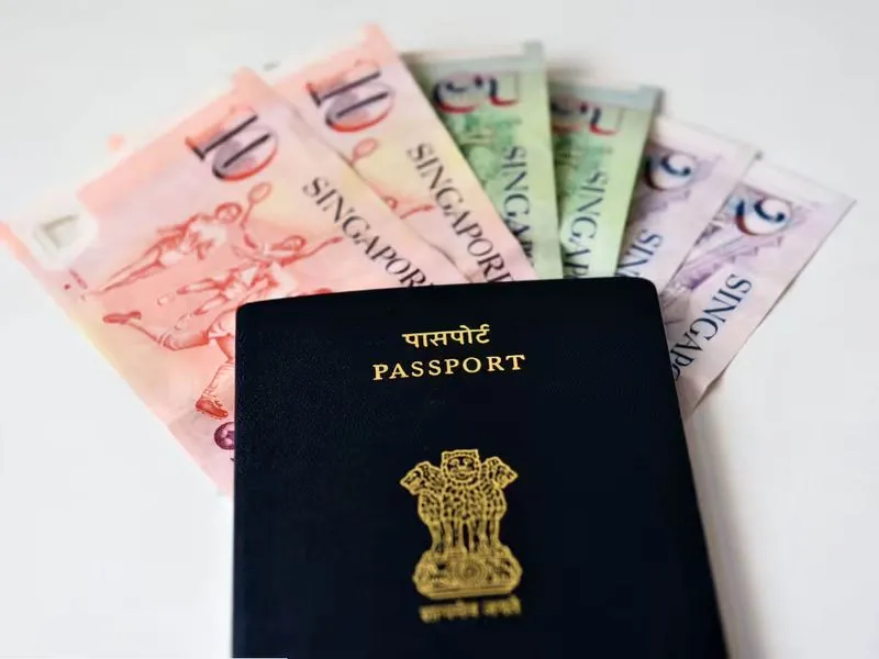 NRIs can bring USD 70-80 bn  into India through FCNR deposits: expert