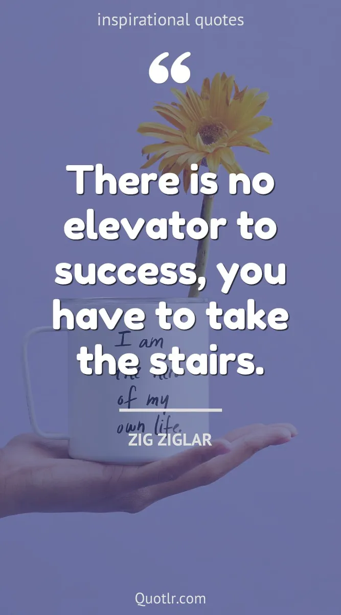 Life Is A Zig Zag Path Of River