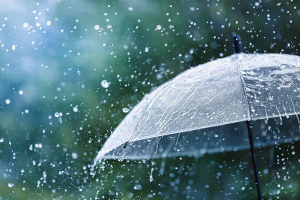 Kathua Receives Highest Rainfall in J&K as Heavy Showers Lash Jammu and Kashmir