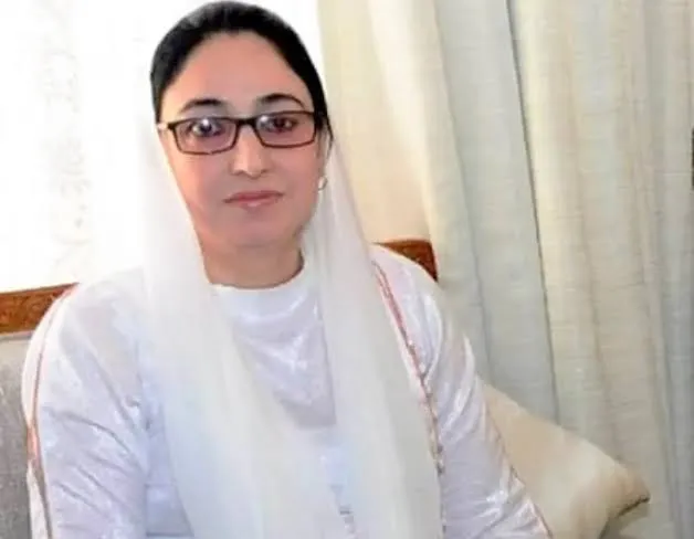 Statehood Won't Return Through Jantar Mantar Protest, Says Darakhshan Andrabi