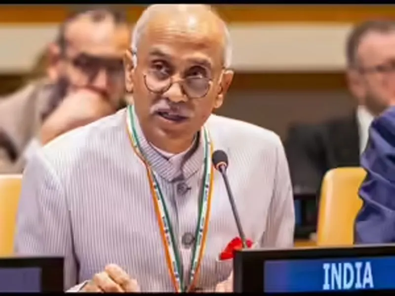 UN not been able to move needle on Security Council reforms: India