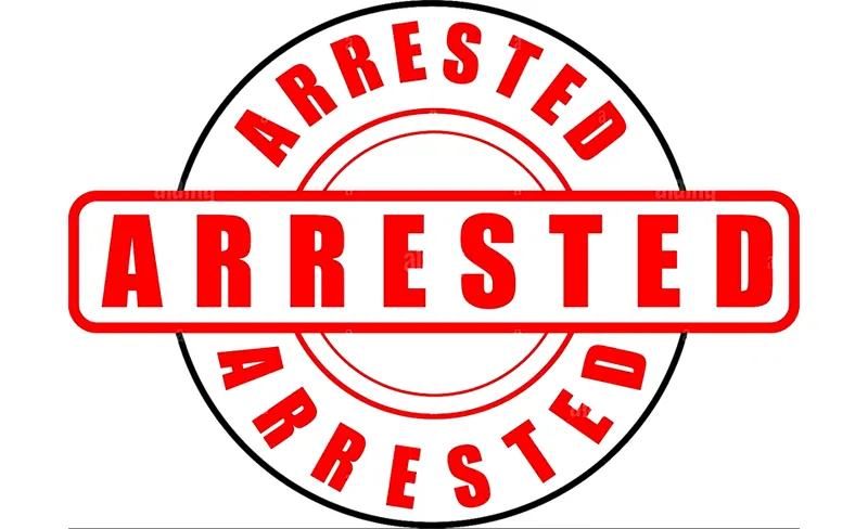 Owner arrested