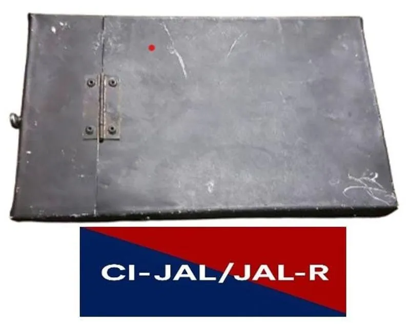 Punjab Police Busts Pak-Linked BKI Terror Module, Key Operative Held