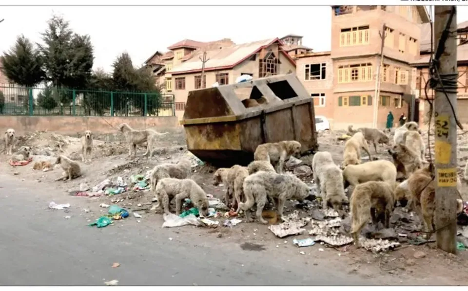 We need a government led waste free campaign