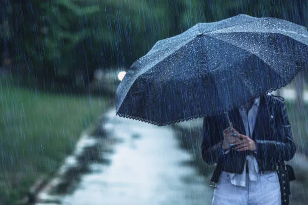 Southern Kashmir Receives Fresh Rain Since Midnight, Jhelum Continues to Recede