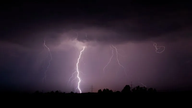 Lightning Strike Kills Over 50 Livestock In J&K's Poonch