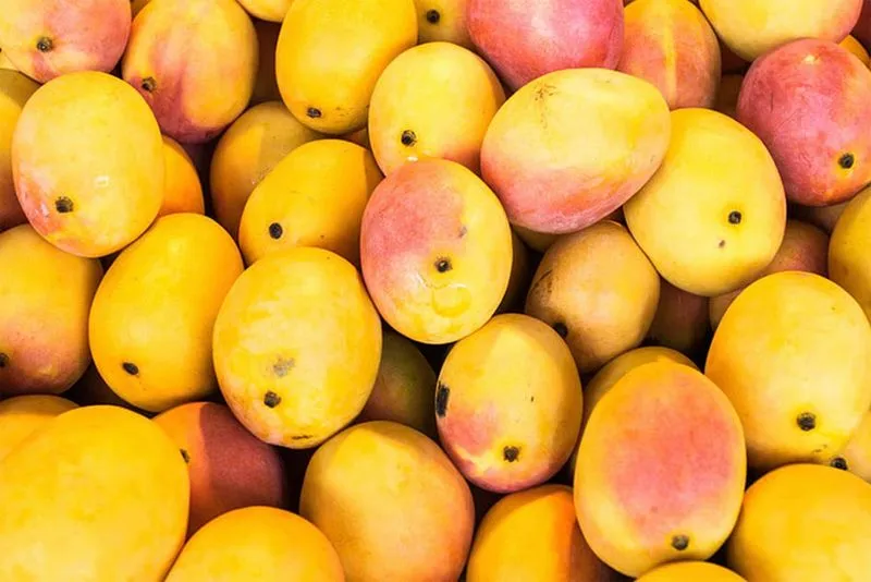 Bangladesh sends mangoes to West Bengal and Tripura CMs